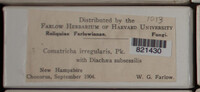Image Associated With the Occurence